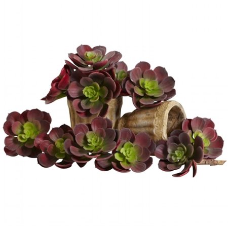 DARE2DECOR 5 in. Echeveria Succulent Plant; Burgundy, 12PK DA664517